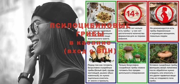 спайс Арсеньев