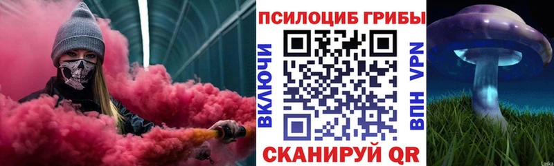 Псилоцибиновые грибы MAGIC MUSHROOMS  закладка  Можга 